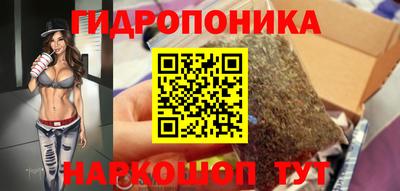 гидра Моздок