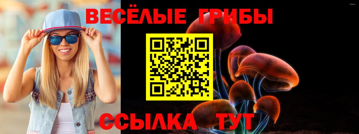 Большой Камень  Галлюциногенные грибы MAGIC MUSHROOMS  Вход с VPN 